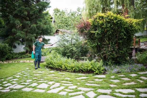 Springfield, CO Tree Services Company